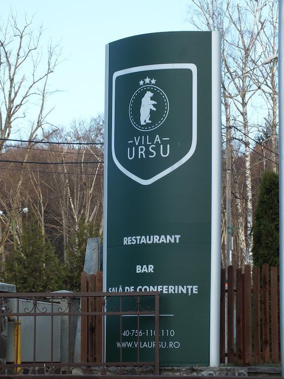 Vila Ursu Din Sovata Bai Ngoại thất bức ảnh